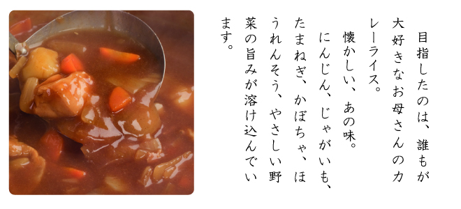 カレーせんべい　大好きお母さんが作ったカレー味　YK50