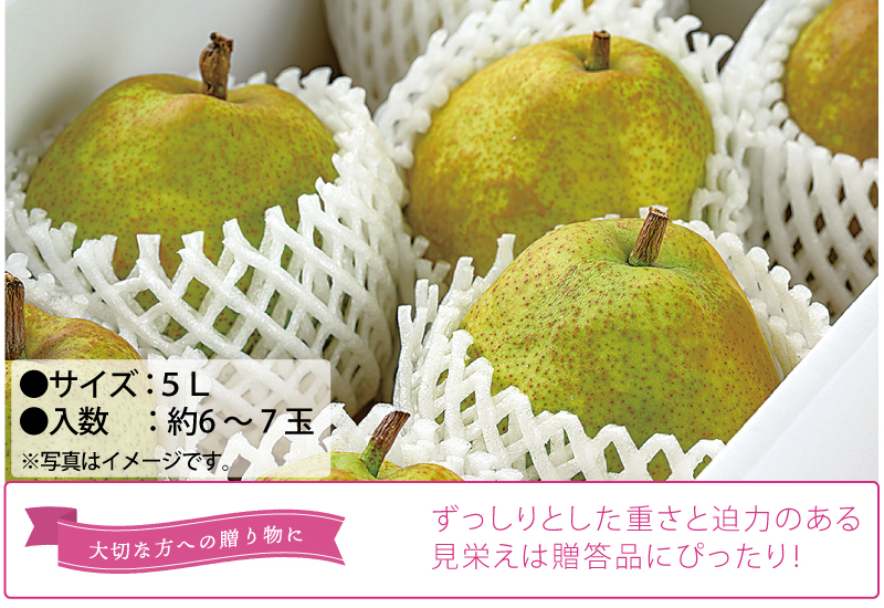 ラフランス